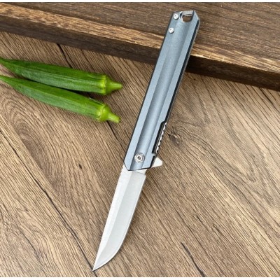 Folding Ball Bearing System Pocket Knife Camping Knife BS26-2366