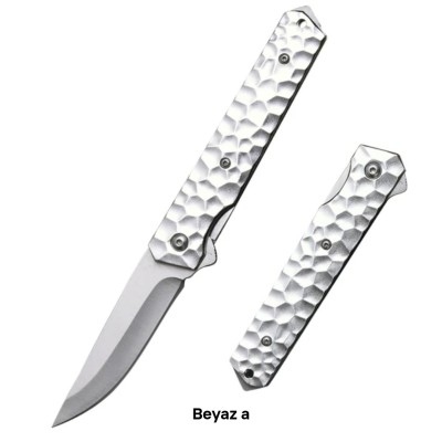 Folding Ball Bearing System Pocket Knife Camping Knife BS25-1005