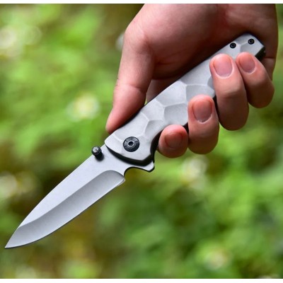 Folding Ball Bearing System Pocket Knife Camping Knife BS25-1007