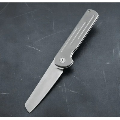 Folding Ball Bearing System Pocket Knife Camping Knife BS25-1032