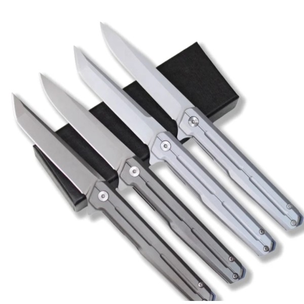 Folding Ball Bearing System Pocket Knife Camping Knife BS25-1049
