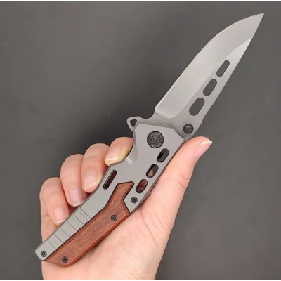 Folding Ball Bearing System Pocket Knife Camping Knife BS25-1055