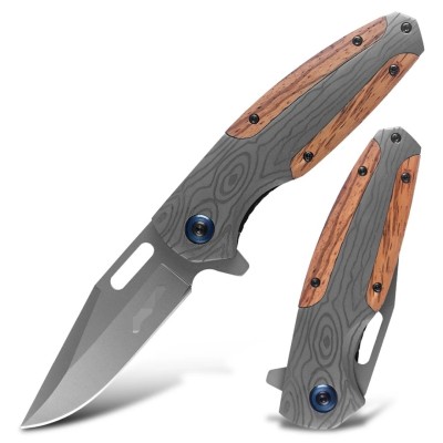 Folding Ball Bearing System Pocket Knife Camping Knife BS25-1058