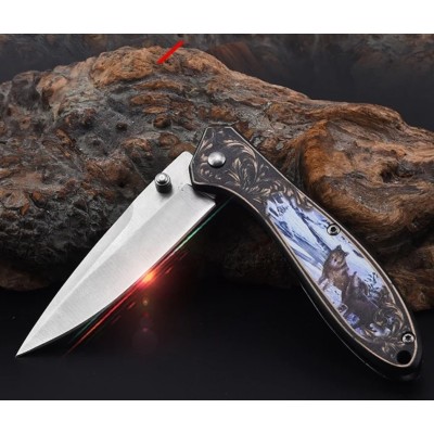 Folding Ball Bearing System Pocket Knife Camping Knife BS25-1065