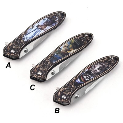 Folding Ball Bearing System Pocket Knife Camping Knife BS25-1065