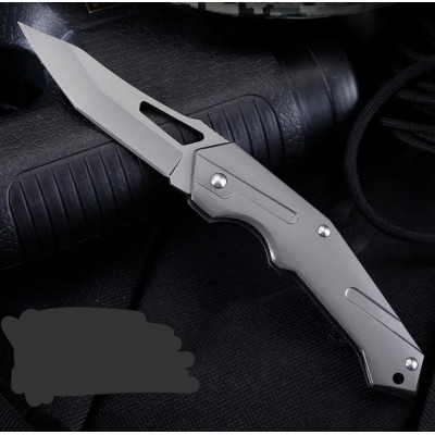 Folding Ball Bearing System Pocket Knife Camping Knife BS25-1066