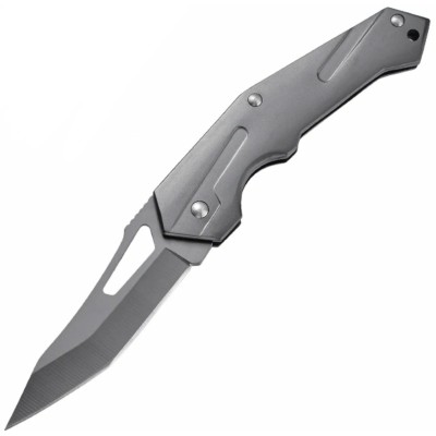 Folding Ball Bearing System Pocket Knife Camping Knife BS25-1066