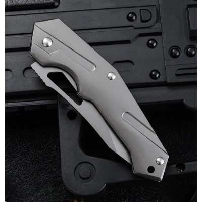 Folding Ball Bearing System Pocket Knife Camping Knife BS25-1066