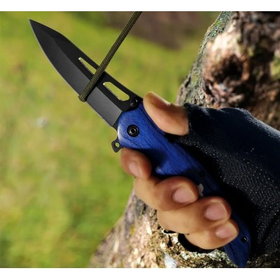 Folding Ball Bearing System Pocket Knife Camping Knife BS25-1079